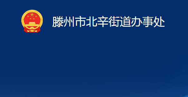 滕州市北辛街道办事处