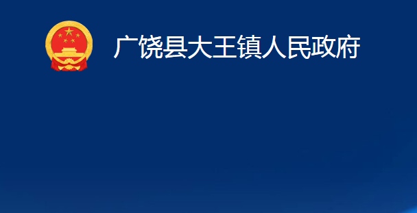 广饶县大王镇人民政府