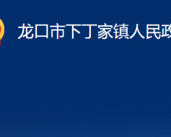 龙口市下丁家镇人民政府