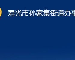 寿光市孙家集街道办事处