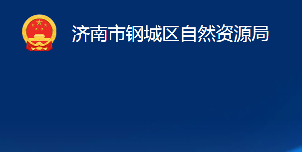 济南市钢城区自然资源局