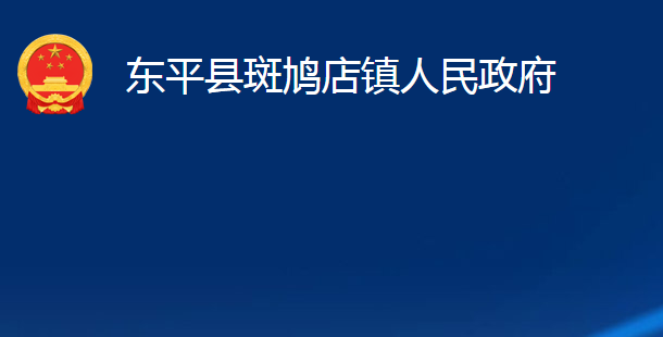 东平县斑鸠店镇人民政府