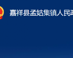 嘉祥县孟姑集镇人民政府