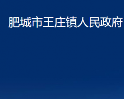 肥城市王庄镇人民政府