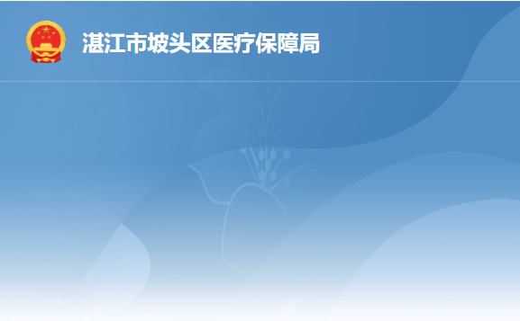 湛江市坡头区医疗保障局