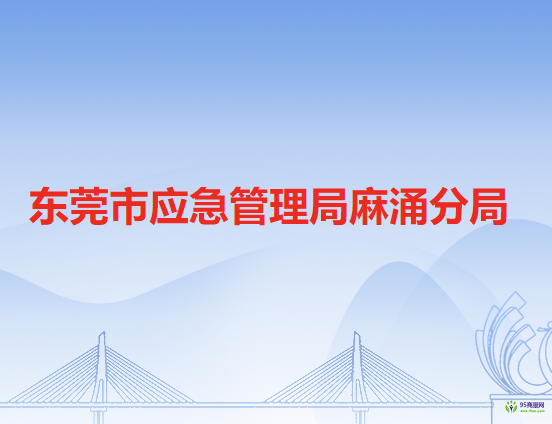 东莞市应急管理局麻涌分局