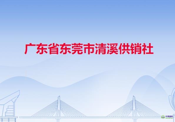 广东省东莞市清溪供销社