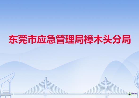 东莞市应急管理局樟木头分局