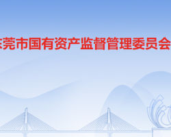 东莞市人民政府国有资产监督管理委员会默认相册