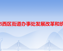 中山市西区街道办事处发展改革和统计局