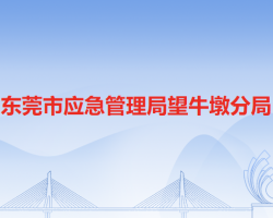 东莞市应急管理局望牛墩分局