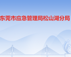 东莞市应急管理局松山湖分局