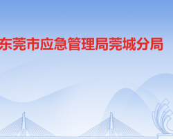 东莞市应急管理局莞城分局