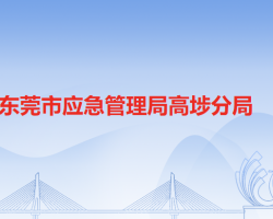 东莞市应急管理局高埗分局