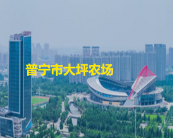 普宁市大坪农场