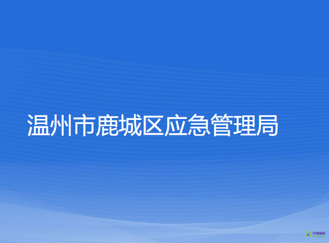 温州市鹿城区应急管理局