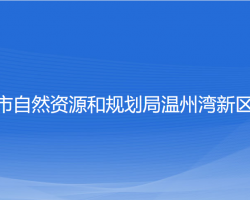 温州市自然资源和规划局温州湾新区分局