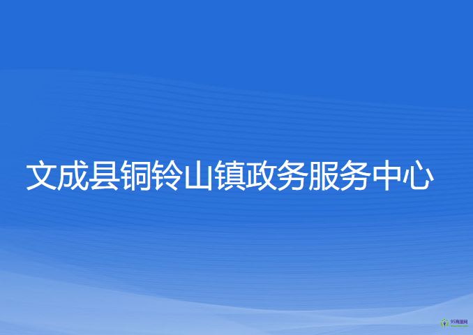 文成县铜铃山镇政务服务中心