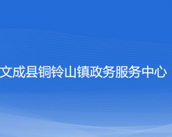 文成县铜铃山镇政务服务中心