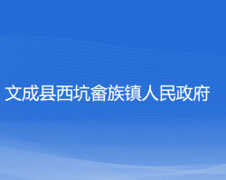 文成县西坑畲族镇人民政府默认相册