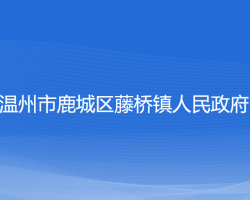 温州市鹿城区藤桥镇人民政府