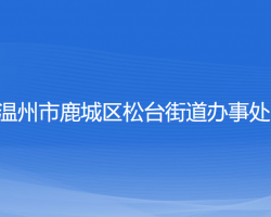 温州市鹿城区松台街道办事处