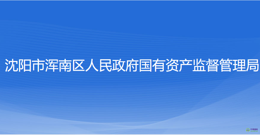 沈阳市浑南区人民政府国有资产监督管理局