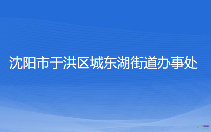 沈阳市于洪区城东湖街道办事处