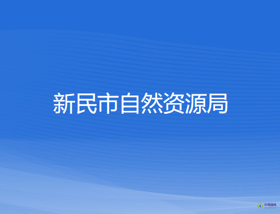 新民市自然资源局