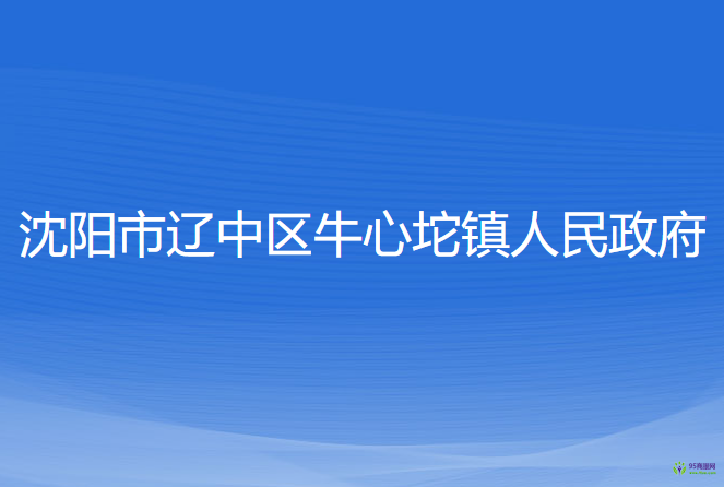 沈阳市辽中区牛心坨镇人民政府