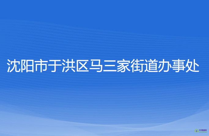 沈阳市于洪区马三家街道办事处