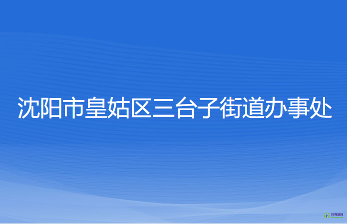 沈阳市皇姑区三台子街道办事处