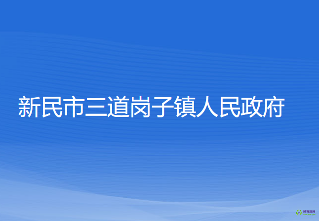 新民市三道岗子镇人民政府