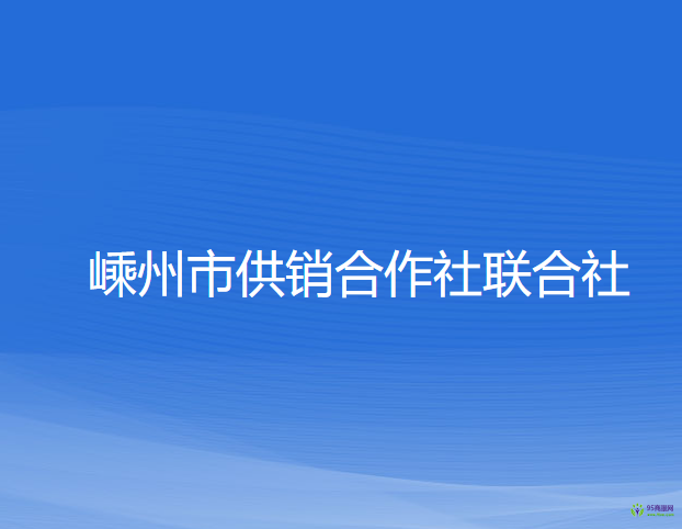 嵊州市供销合作社联合社