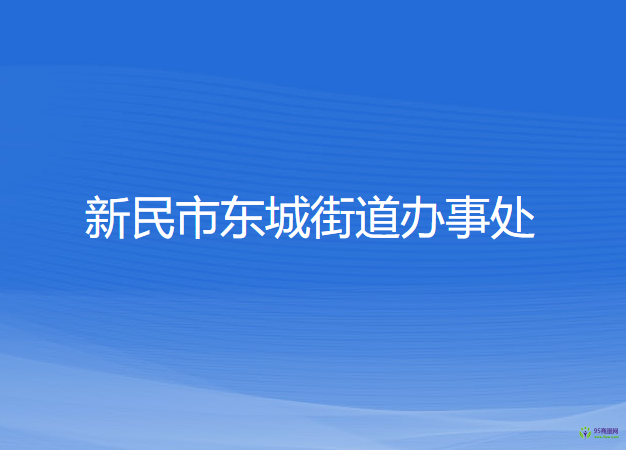 新民市东城街道办事处