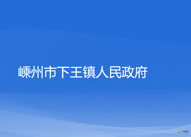 嵊州市下王镇人民政府