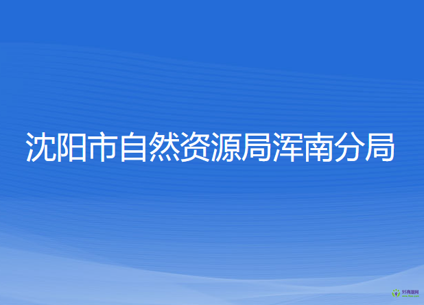 沈阳市自然资源局浑南分局