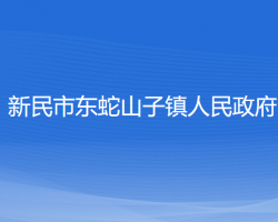 新民市东蛇山子镇人民政府