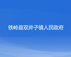 铁岭县双井子镇人民政府