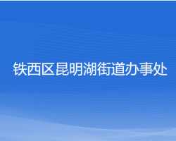 沈阳市铁西区昆明湖街道办事处