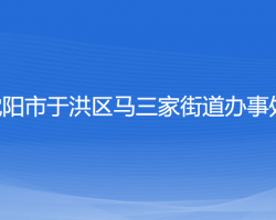 沈阳市于洪区马三家街道办事处