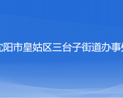 沈阳市皇姑区三台子街道办事处