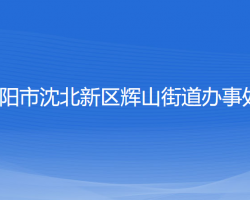 沈阳市沈北新区辉山街道办事处