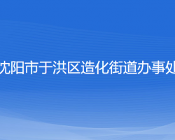 沈阳市于洪区造化街道办事处