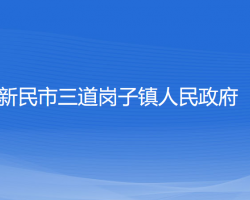 新民市三道岗子镇人民政府