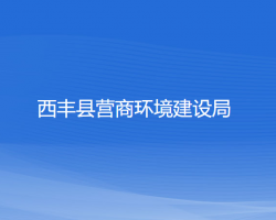 西丰县营商环境建设局默认相册