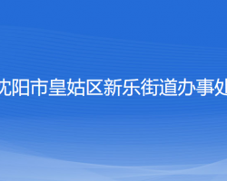 沈阳市皇姑区新乐街道办事处