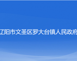 辽阳市文圣区罗大台镇人民政府