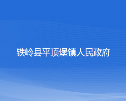 铁岭县平顶堡镇人民政府