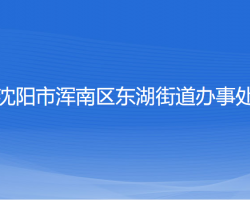 沈阳市浑南区东湖街道办事处